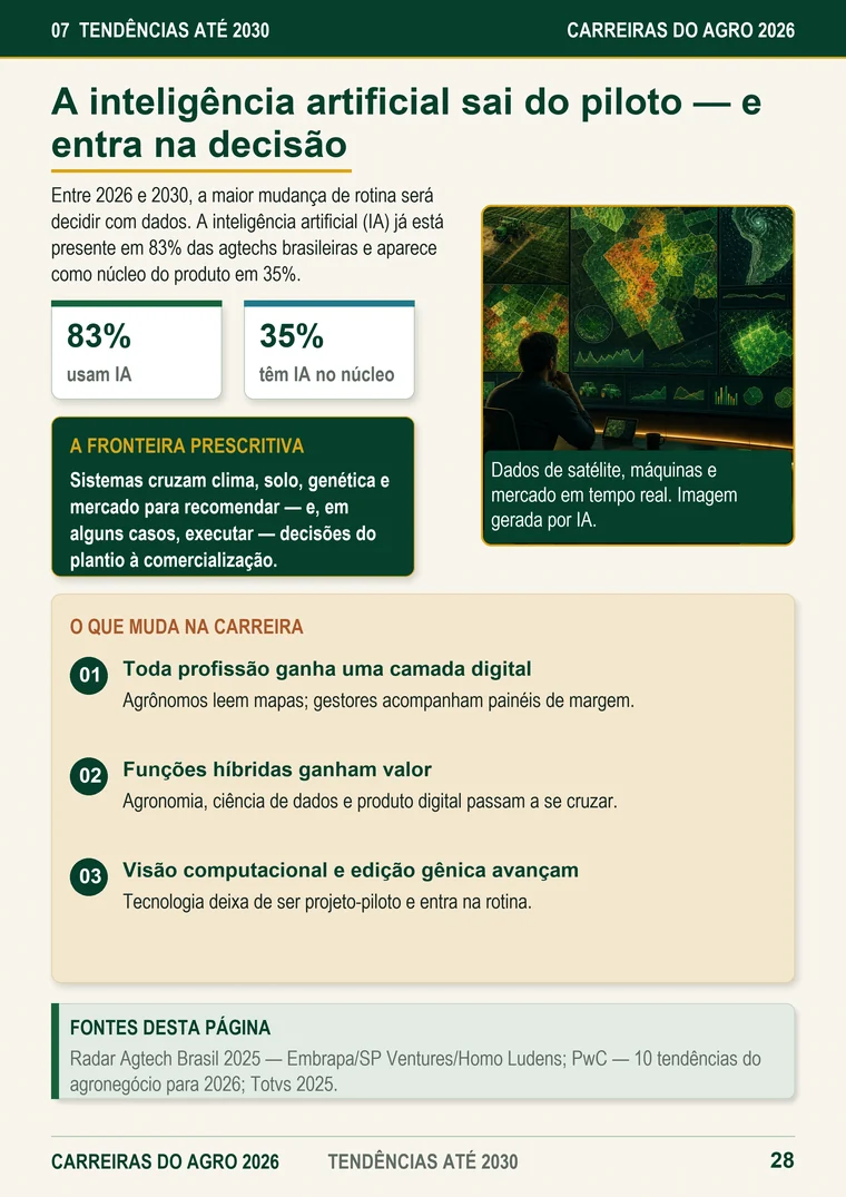 Prévia editorial da seção do eBook